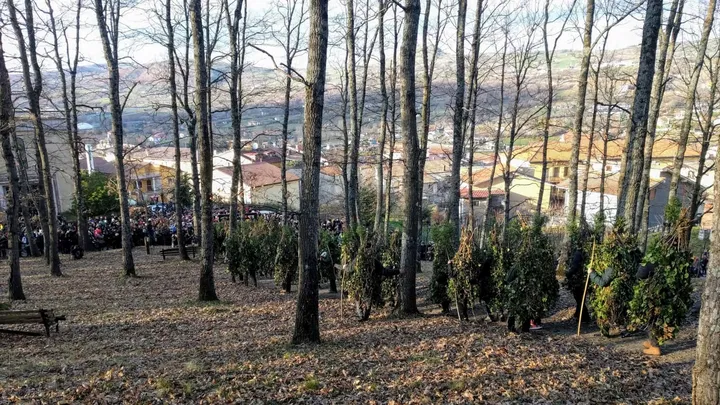 I Rumìt scendono in fila dal bosco; sullo sfondo si vede il paese di Satriano di Lucania