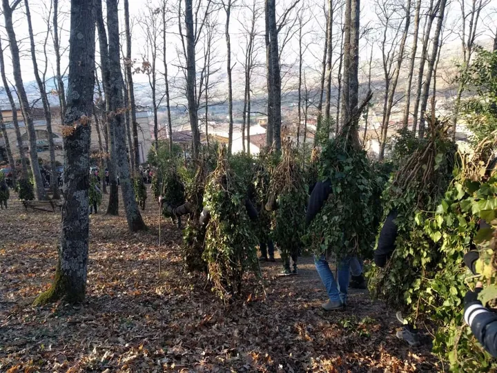 I Rumìt fra gli alberi, con la valle e le colline lucane sullo sfondo